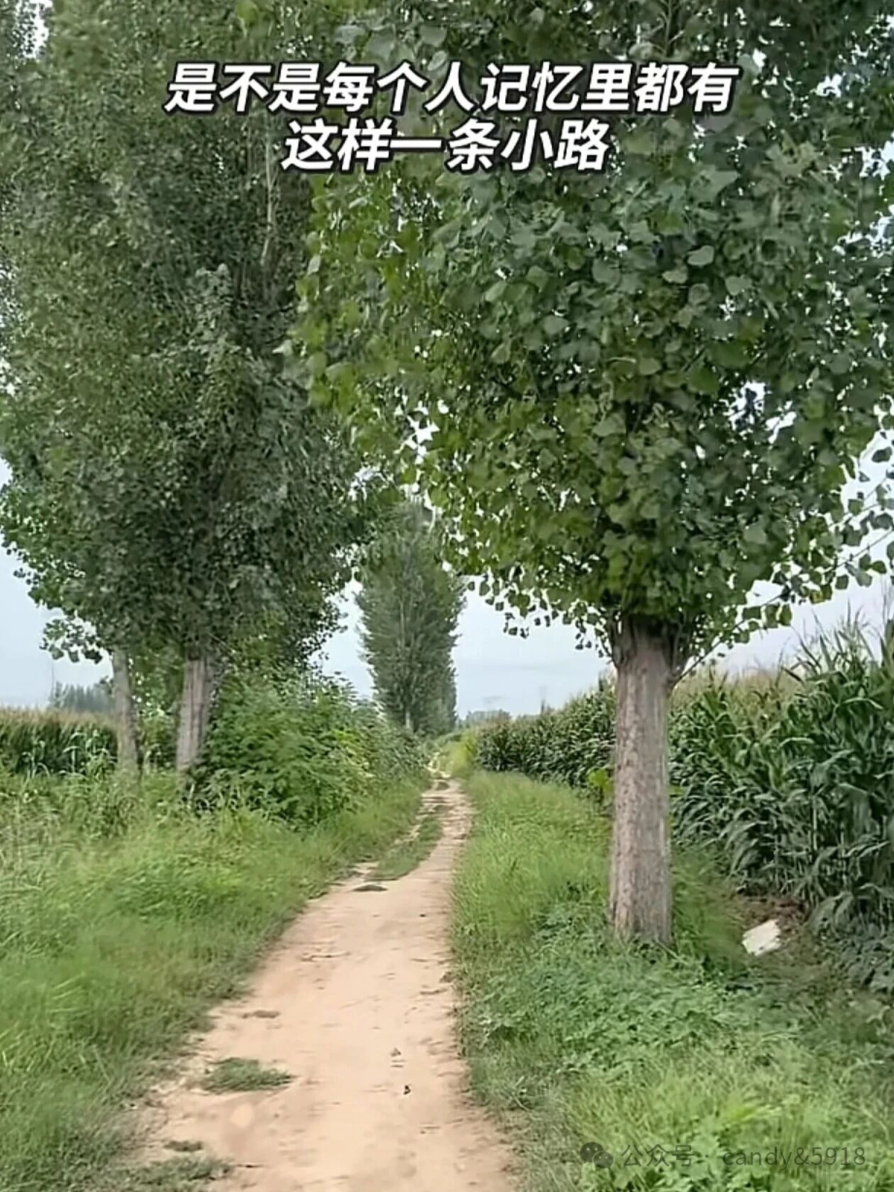 那些回不去的时光，见不到的儿时玩伴。。。